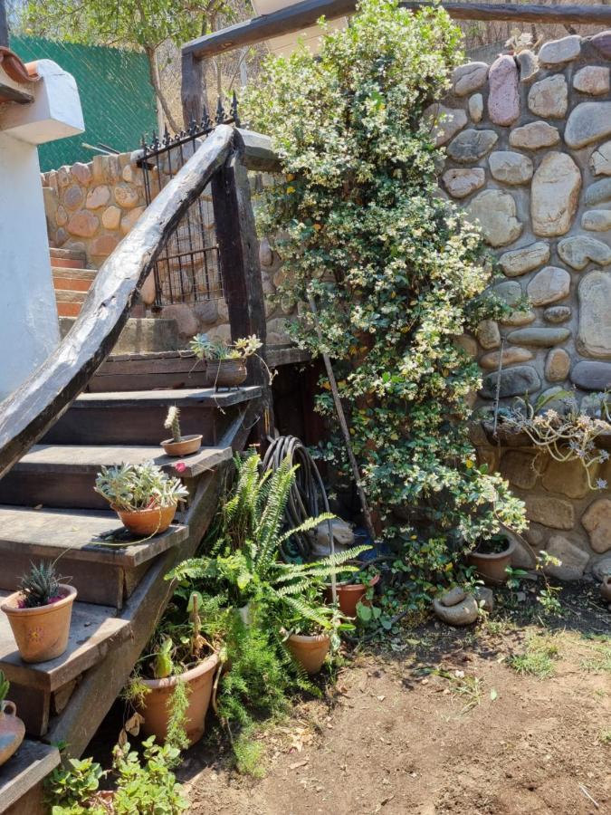 Hostal Las Rosas 萨尔塔 外观 照片
